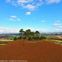 Buy canvas prints of Colmhers Hill Dorset by Les Schofield