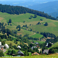 Buy canvas prints of The Black Forest  by Les Schofield