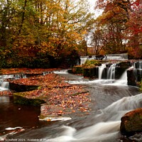 Buy canvas prints of Golden Beauty of Autumn Falls by Les Schofield
