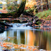 Buy canvas prints of Autumn Scene on The River by Les Schofield