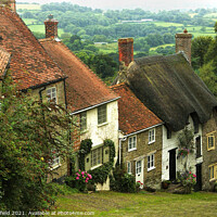Buy canvas prints of Gold Hill Dorset  by Les Schofield