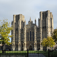 Buy canvas prints of Wells Cathedral  Somerset  by Les Schofield