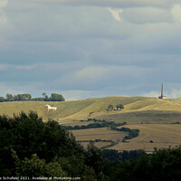 Buy canvas prints of White Horse on Roundway Hill Wiltshire  by Les Schofield