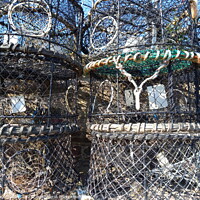 Buy canvas prints of Crab Pots by Les Schofield