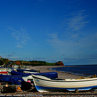 Buy canvas prints of Budleigh Beach  Devon by Les Schofield