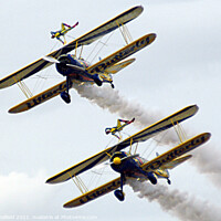 Buy canvas prints of Utterly  Display team  by Les Schofield