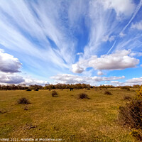 Buy canvas prints of New Forest  sky by Les Schofield