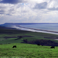 Buy canvas prints of Chesil Beach Dorset by Les Schofield