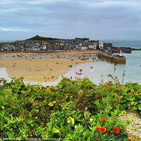 Buy canvas prints of St Ives Harbour  View by Les Schofield