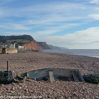 Buy canvas prints of Majestic Sidmouth Beach by Les Schofield