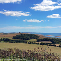 Buy canvas prints of Abbotsbury, St Catherine's Chapel  by Les Schofield
