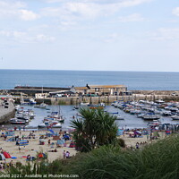 Buy canvas prints of A Panoramic View of Lyme Regis Harbour by Les Schofield