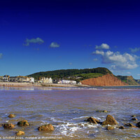 Buy canvas prints of Majestic Sidmouth Townscape by Les Schofield