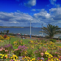 Buy canvas prints of A Floral Haven Overlooking Weymouth Bay by Les Schofield