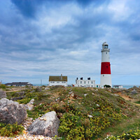 Buy canvas prints of Portland bill Lighthouse by Les Schofield