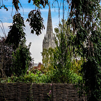 Buy canvas prints of Salisbury cathedral spire by Les Schofield