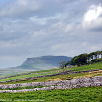 Buy canvas prints of Ingleborough Yorkshire  by Les Schofield