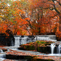 Buy canvas prints of Beautiful Autumn Waterfall by Les Schofield