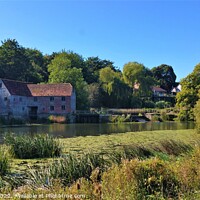 Buy canvas prints of Newton's Mill Dorset by Les Schofield