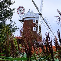 Buy canvas prints of Norfolk cley windmill  by Les Schofield