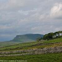 Buy canvas prints of Pen-y-Ghent,  by Les Schofield