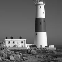 Buy canvas prints of The Majestic Portland Bill Lighthouse by Les Schofield