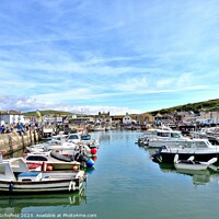 Buy canvas prints of Westbay harbour  by Les Schofield