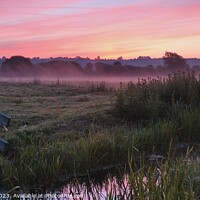 Buy canvas prints of Sunrise on the Somerset levels  by Les Schofield