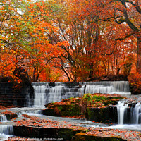 Buy canvas prints of Majestic Autumn Waterfall by Les Schofield