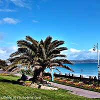 Buy canvas prints of Serene Weymouth Bay by Les Schofield
