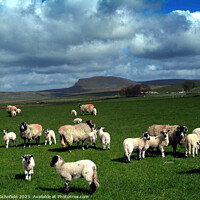 Buy canvas prints of Majestic Yorkshire Dales by Les Schofield