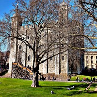 Buy canvas prints of Tower of London  by Les Schofield