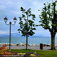 Buy canvas prints of Idyllic Waterscape of Lake Garda by Les Schofield
