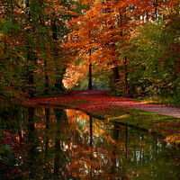 Buy canvas prints of Autumn Reflection by Les Schofield