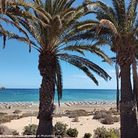 Buy canvas prints of Fuerteventura  beach Costa calma by Les Schofield