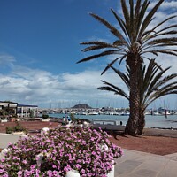 Buy canvas prints of Corralejo harbour  by Les Schofield