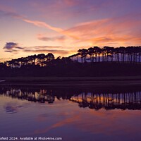 Buy canvas prints of Dawn Reflection Budleigh  Salterton Devon by Les Schofield