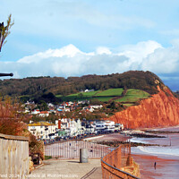 Buy canvas prints of Sidmouth View Devon by Les Schofield