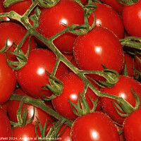 Buy canvas prints of Tomatoes by Les Schofield