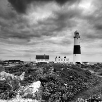 Buy canvas prints of Portland Bill Lighthouse  by Les Schofield