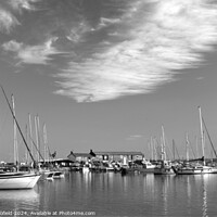 Buy canvas prints of Lyme Regis Harbour Black and White by Les Schofield