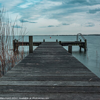Buy canvas prints of Lake side Holland by Steven Blanchard
