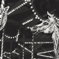 Buy canvas prints of Gallopers by Lavinia Rose Barrett