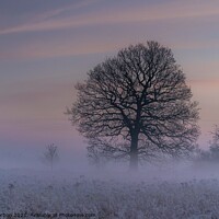 Buy canvas prints of Winters Morning by Dave Harbon