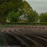 Buy canvas prints of The Ploughed Field by Dave Harbon