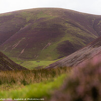 Buy canvas prints of The Lowther Hills by Dave Harbon