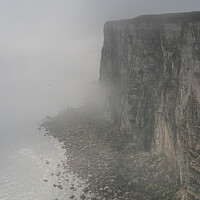 Buy canvas prints of Bempton Cliffs in the Mist by Dave Harbon