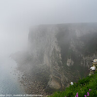 Buy canvas prints of Bempton Cliffs in the Mist by Dave Harbon