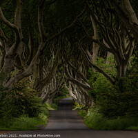 Buy canvas prints of The Dark Hedges by Dave Harbon