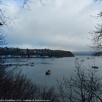 Buy canvas prints of Tobermory through the trees by Rachel Goodfellow